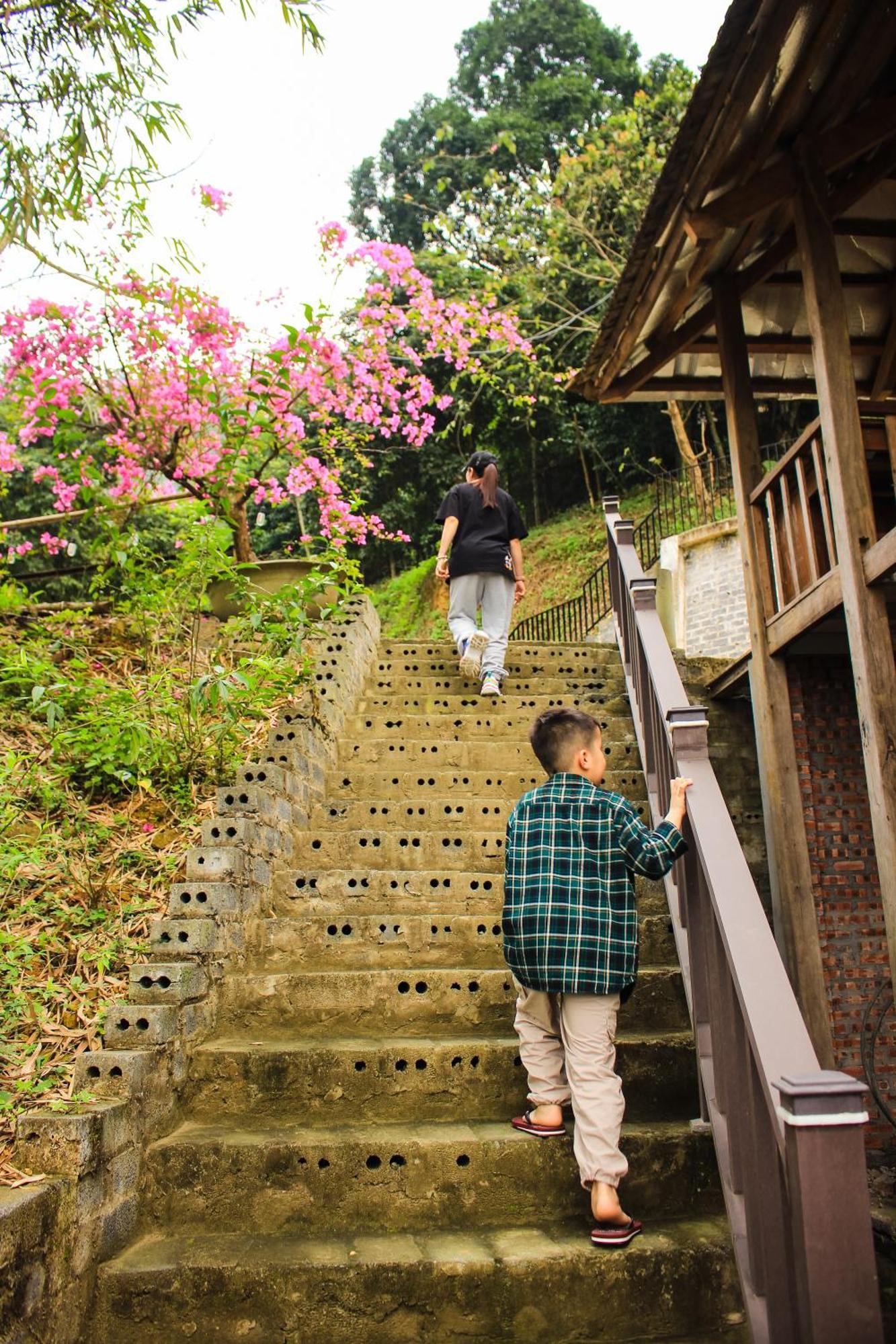 lều Gia Trang Heian Hoa Binh